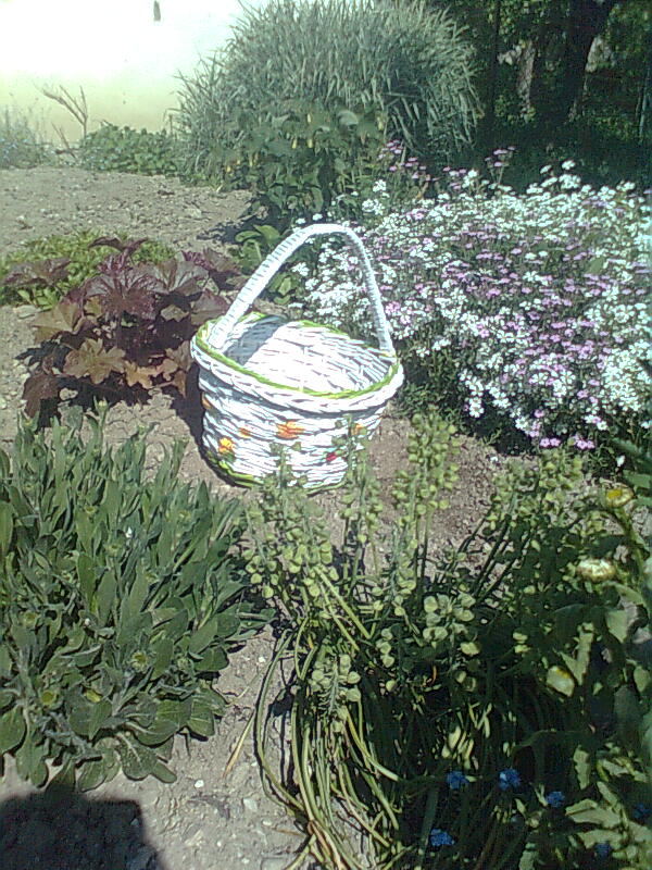 Snímka0540.jpg